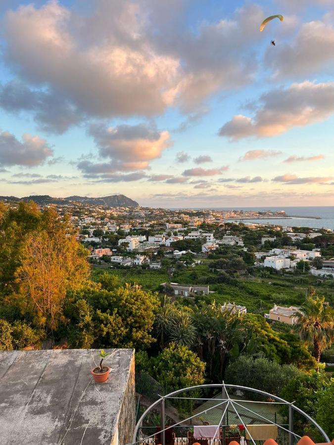 Blu Panorama Bed & Breakfast Forio di Ischia Екстериор снимка