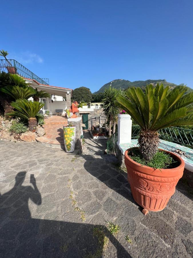 Blu Panorama Bed & Breakfast Forio di Ischia Екстериор снимка