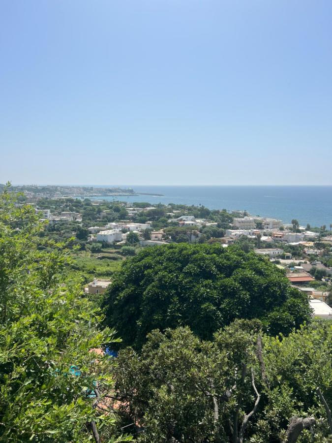 Blu Panorama Bed & Breakfast Forio di Ischia Екстериор снимка