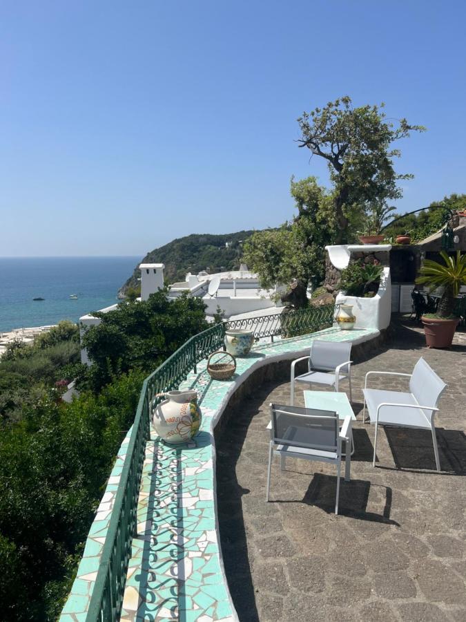 Blu Panorama Bed & Breakfast Forio di Ischia Екстериор снимка